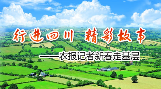 ���н��Ĵ�•���ʹ��¡�ũ�������´��߻���