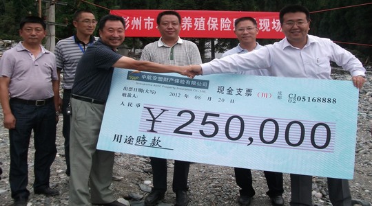 �к����˲Ʋ��������޹�˾