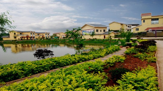 �������� ��չ���廭��