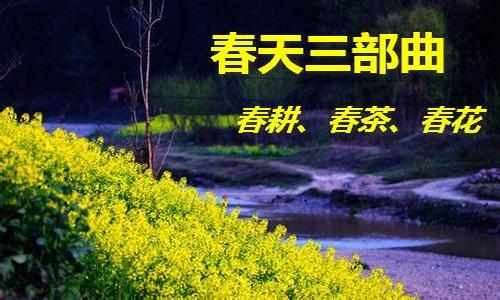 2017�����������������������衢����ϵ�б���