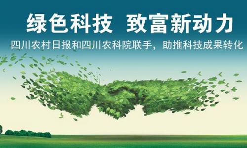 ��ɫ�Ƽ� �¸��¶���