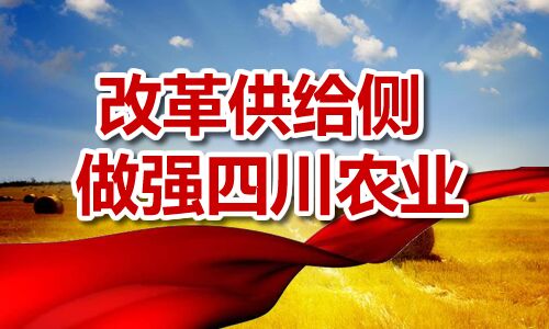 �ĸ﹩���� ��ǿ�Ĵ�ũҵ