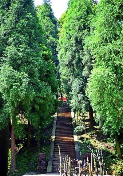 普照山风景区图片