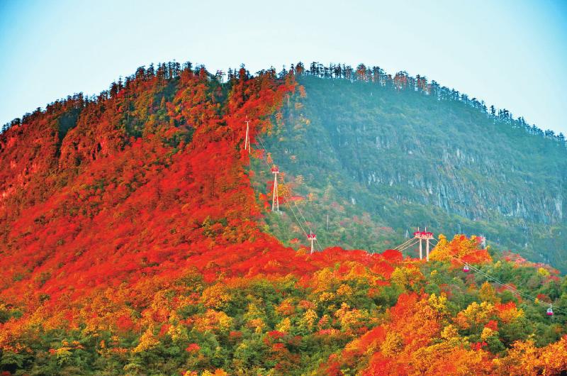 瓦屋山国家森林公园电话_瓦屋山国家森林公园管理处_瓦屋山